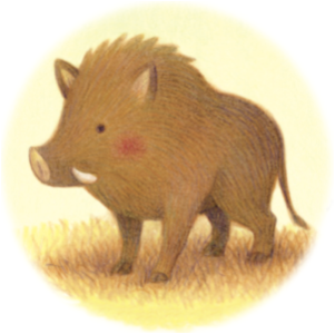 wild boar